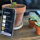 Image for article titled This App Is Keeping My Plants Alive, No Thanks to Me